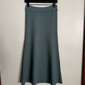 Cuyana Teal A-Line Skirt